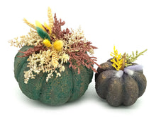 Φόρτωση εικόνας στο εργαλείο προβολής Συλλογής, Σετ χειροποίητες κολοκύθες πράσινο - μωβ με εφέ πέτρας, διακοσμημένες με αποξηραμένα και τεχνητά λουλούδια