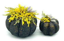 Φόρτωση εικόνας στο εργαλείο προβολής Συλλογής, Σετ χειροποίητες κολοκύθες με εφέ πέτρας σε μωβ και κίτρινους τόνους, διακοσμημένες με αποξηραμένα και τεχνητά λουλούδια.