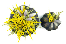 Φόρτωση εικόνας στο εργαλείο προβολής Συλλογής, Σετ χειροποίητες κολοκύθες με εφέ πέτρας σε μωβ και κίτρινους τόνους, διακοσμημένες με αποξηραμένα και τεχνητά λουλούδια.